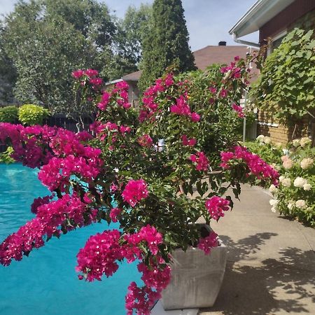 شاوينيغان Gite Chez Baza المظهر الخارجي الصورة